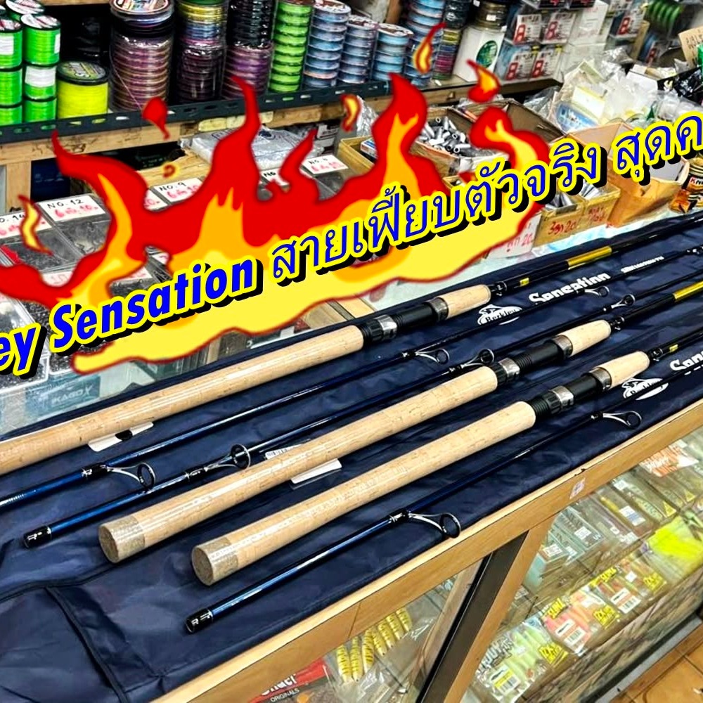 คัน Berkley Sensation