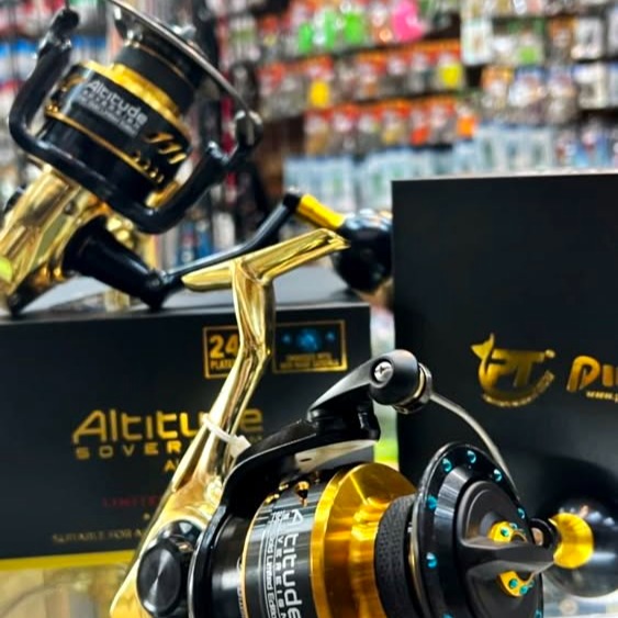 รอก Pioneer Altitude