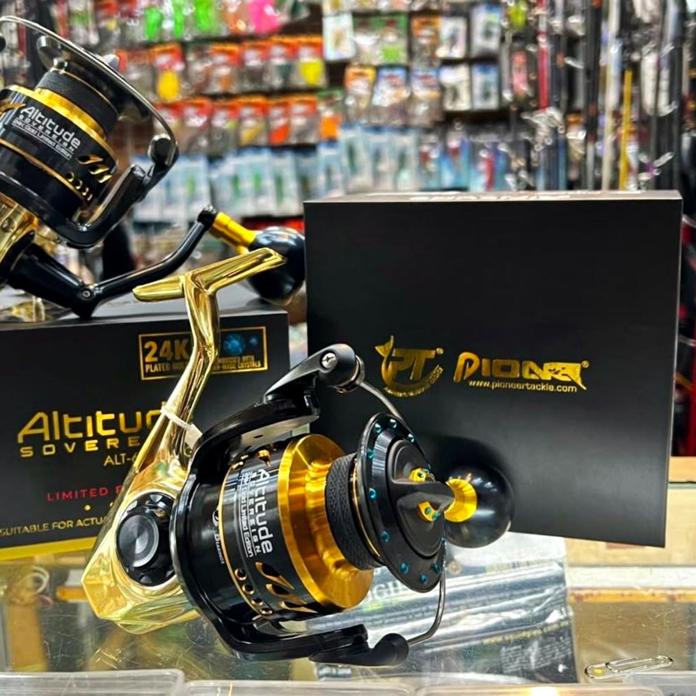 รอก Pioneer Altitude